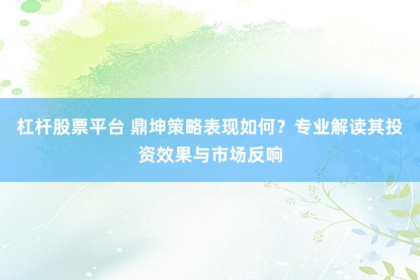 杠杆股票平台 鼎坤策略表现如何？专业解读其投资效果与市场反响
