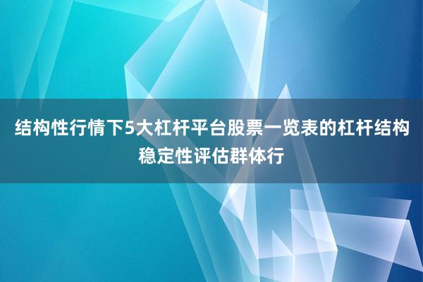 结构性行情下5大杠杆平台股票一览表的杠杆结构稳定性评估群体行